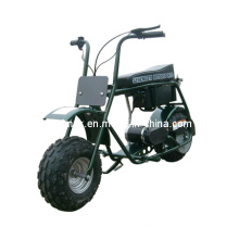 Strong Charging Capacity Electric Vehicle ATV